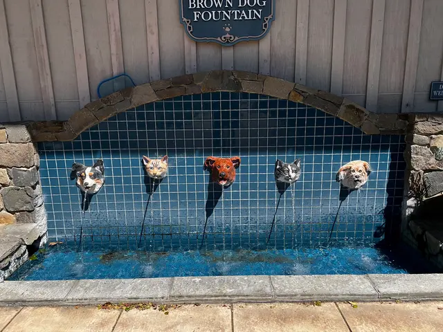 Marin Humane — customer photo 3