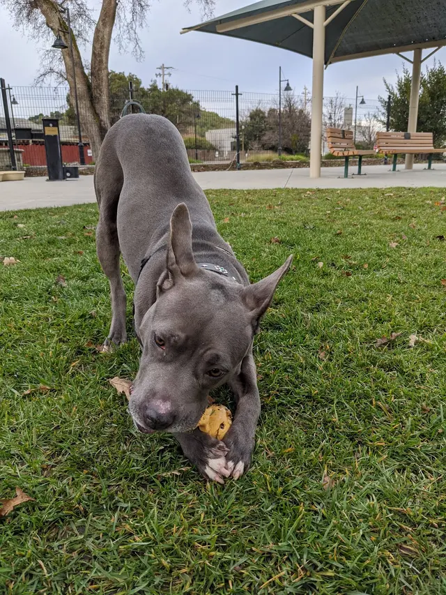 Marin Humane — customer photo 12