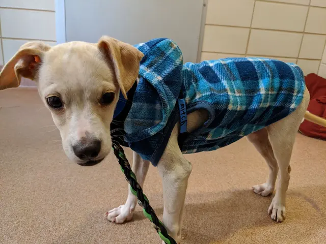 Marin Humane — customer photo 9