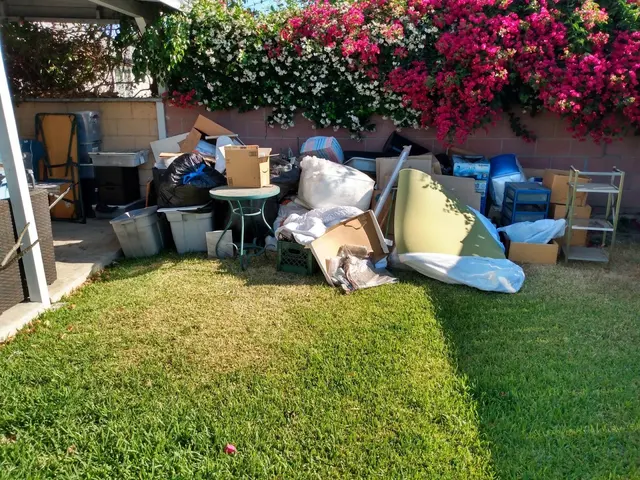 Dave's Cheap Removal LLC — photo from the business 10