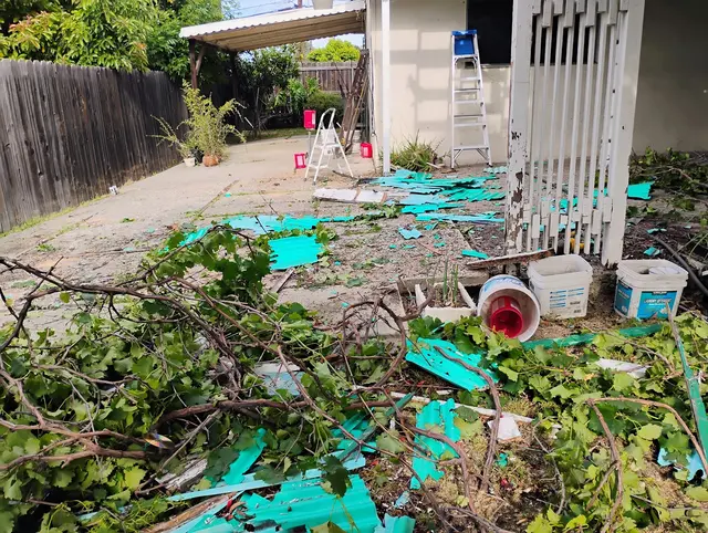 Dave's Cheap Removal LLC — photo from the business 7