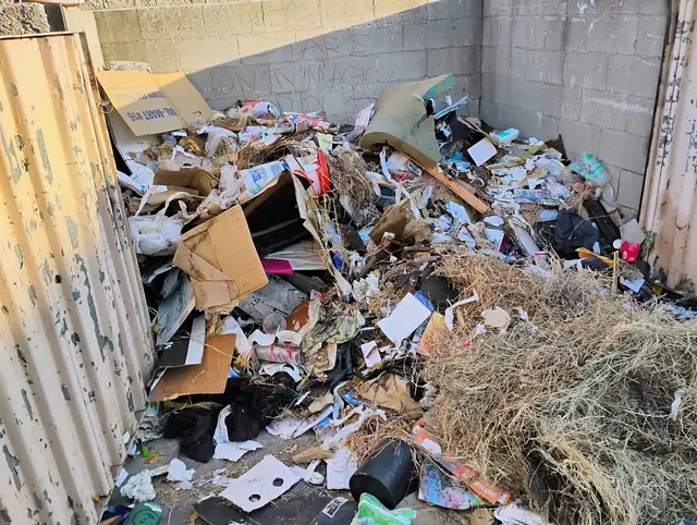 Dave's Cheap Removal LLC — photo from the business 2