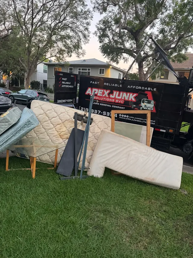 Apex Junk Solutions SVC — photo from the business 7