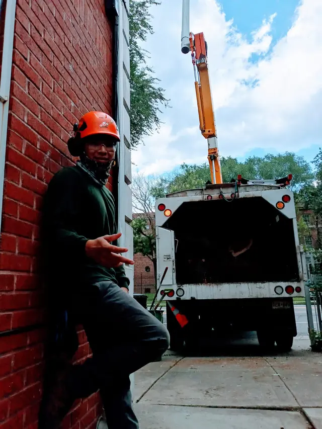 Royal Tree Service — photo from the business 10