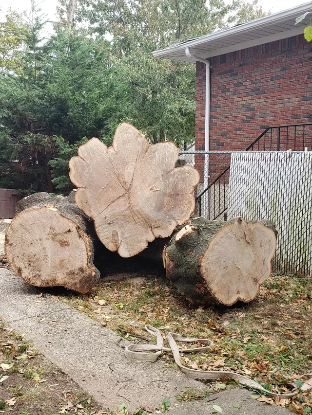 Royal Tree Service — customer photo 4