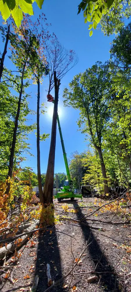 Raritan Valley Tree Service — photo from the business 12