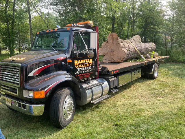 Raritan Valley Tree Service — photo from the business 10
