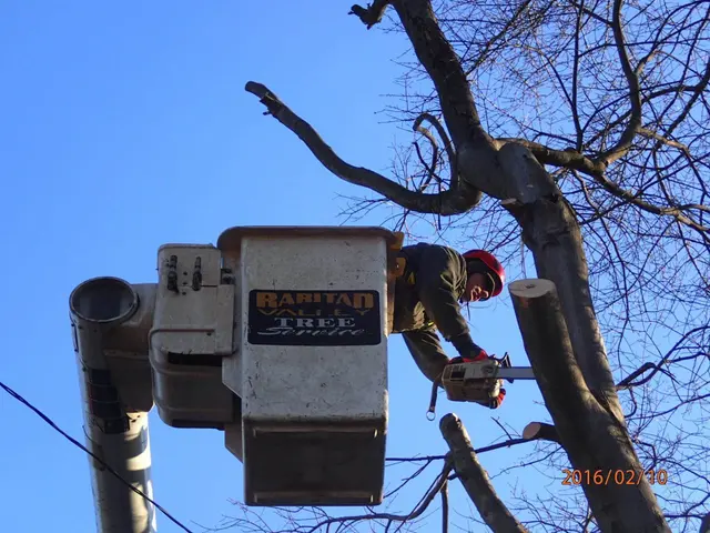 Raritan Valley Tree Service — photo from the business 5