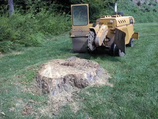 Raritan Valley Tree Service — photo from the business 4