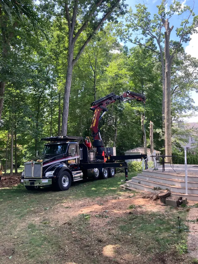 Raritan Valley Tree Service — photo from the business 2