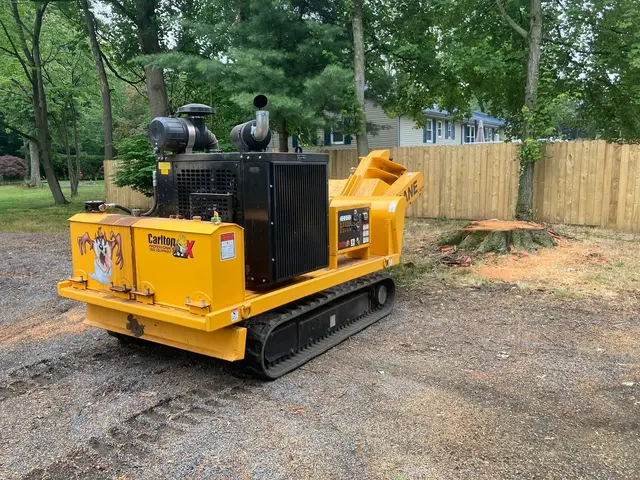 Raritan Valley Tree Service — photo from the business 11