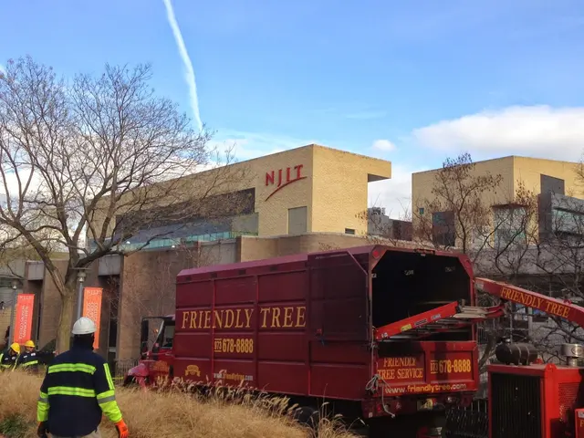 Friendly Tree Experts — photo from the business 9