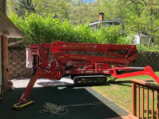 Friendly Tree Experts — customer photo 6