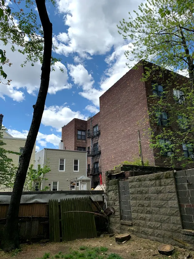 Friendly Tree Experts — customer photo 10