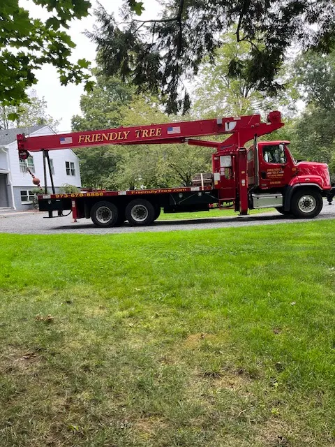 Friendly Tree Experts — customer photo 7