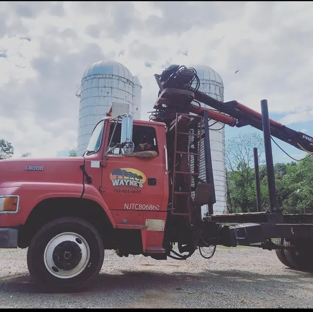Wayne's Tree Service — photo from the business 10