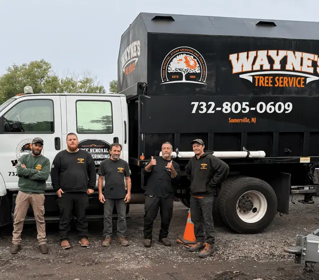 Wayne's Tree Service — photo from the business 1