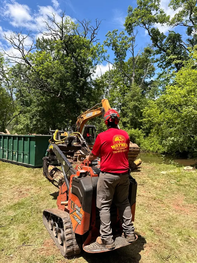 Wayne's Tree Service — photo from the business 5