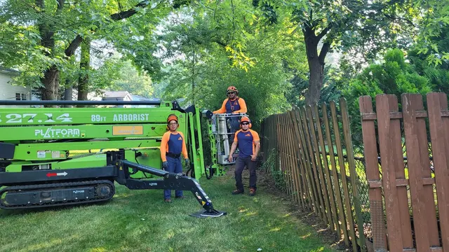 SavATree - Tree Service & Lawn Care — photo from the business 12