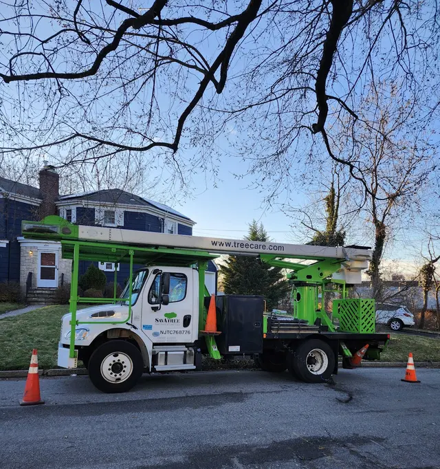 SavATree - Tree Service & Lawn Care — photo from the business 3