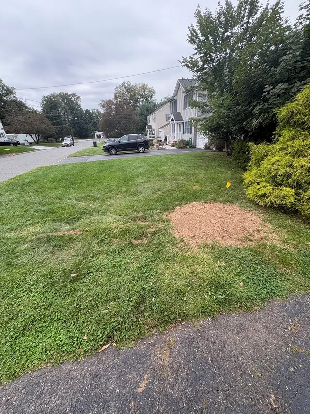 SavATree - Tree Service & Lawn Care — customer photo 4