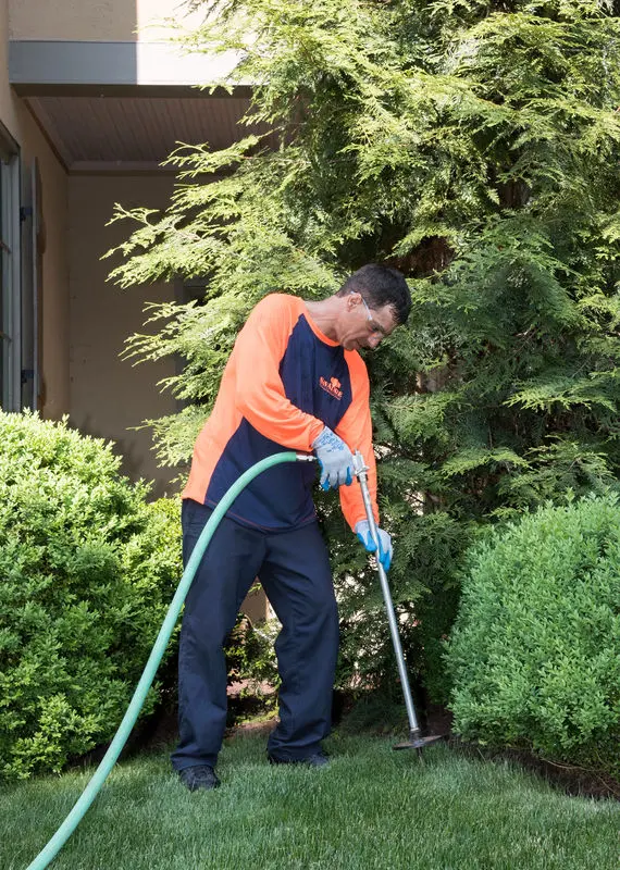 SavATree - Tree Service & Lawn Care — photo from the business 6