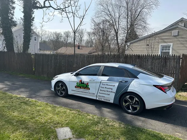 Sami's Tree Service — photo from the business 4
