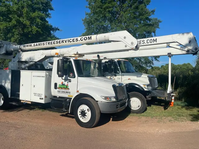 Sami's Tree Service — photo from the business 6