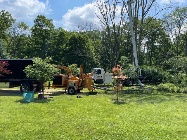 Sami's Tree Service — photo from the business 8
