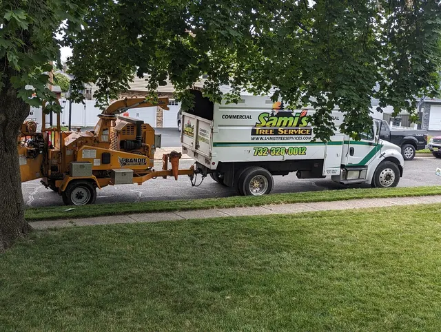Sami's Tree Service — customer photo 2