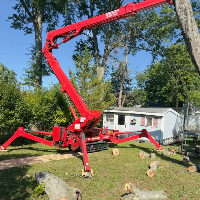 Sami's Tree Service — photo from the business 1