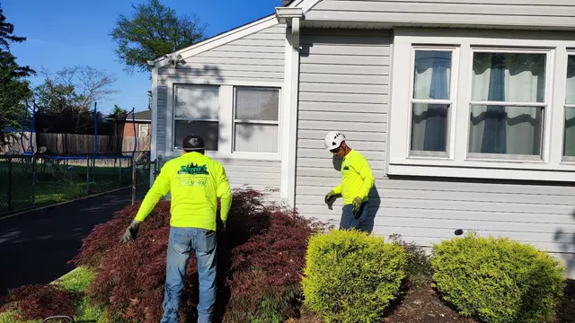 Sami's Tree Service — photo from the business 10
