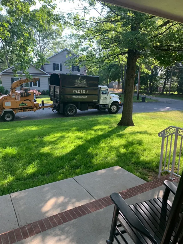 Sami's Tree Service — customer photo 9