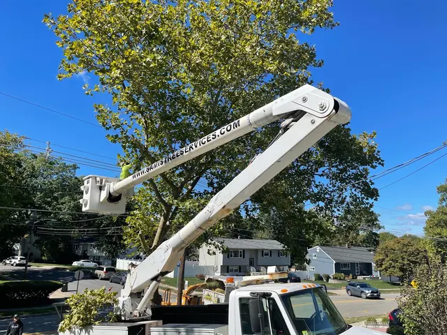 Sami's Tree Service — customer photo 3