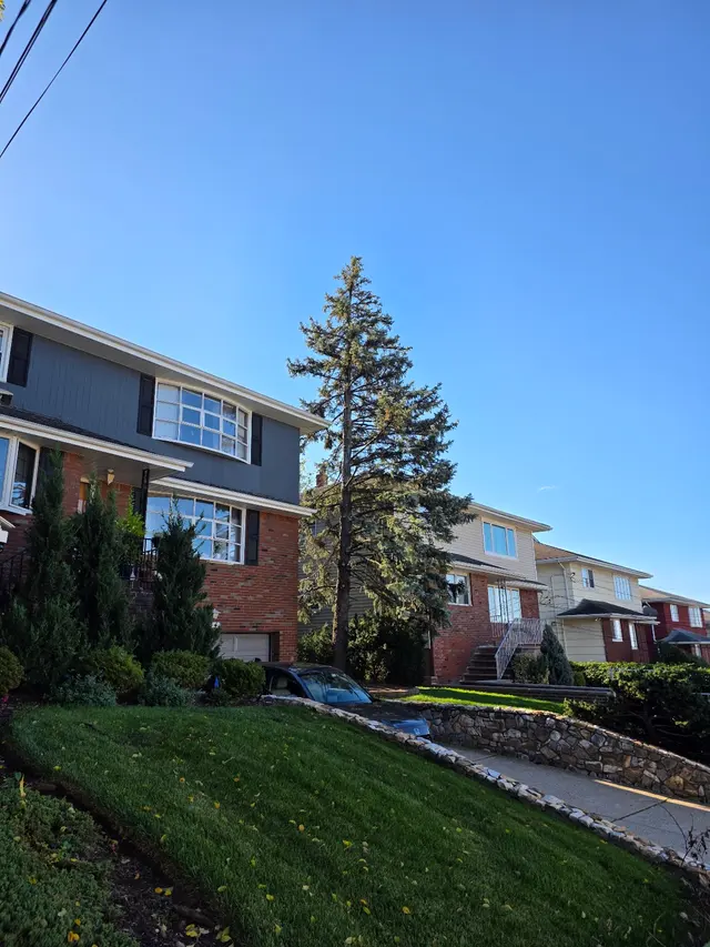 EJT Tree Service LLC — customer photo 5