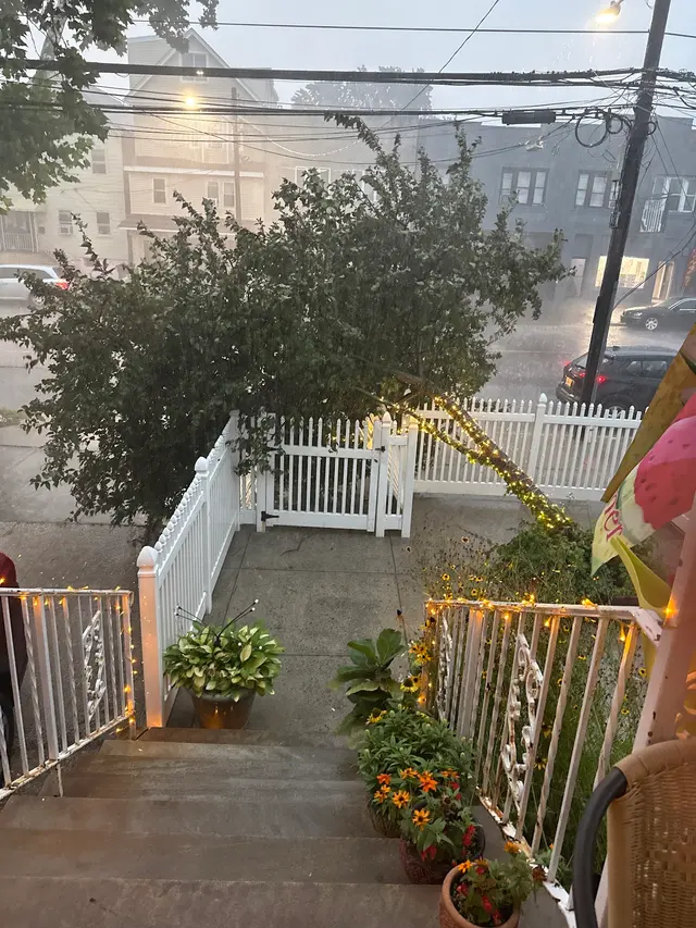 EJT Tree Service LLC — customer photo 8