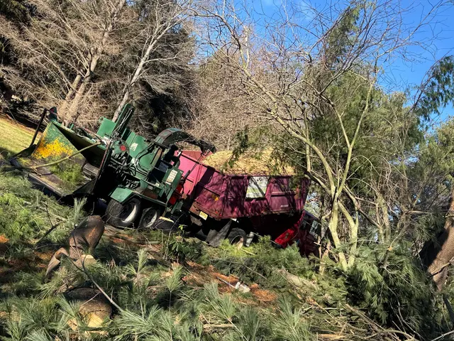 EJT Tree Service LLC — photo from the business 9