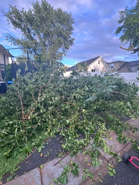 EJT Tree Service LLC — customer photo 3