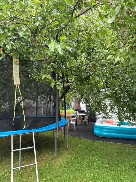 EJT Tree Service LLC — customer photo 6