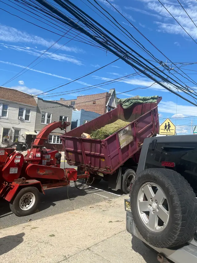 Customer photo of work by EJT Tree Service LLC, from John Shin's review