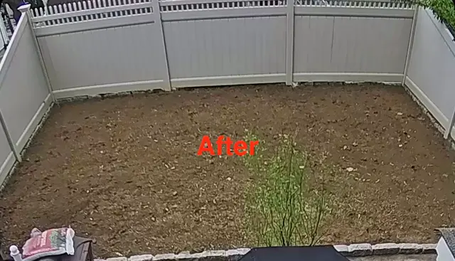 EJT Tree Service LLC — customer photo 7