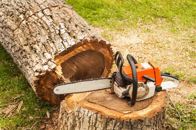 Dujets Tree Experts Inc. — photo from the business 3