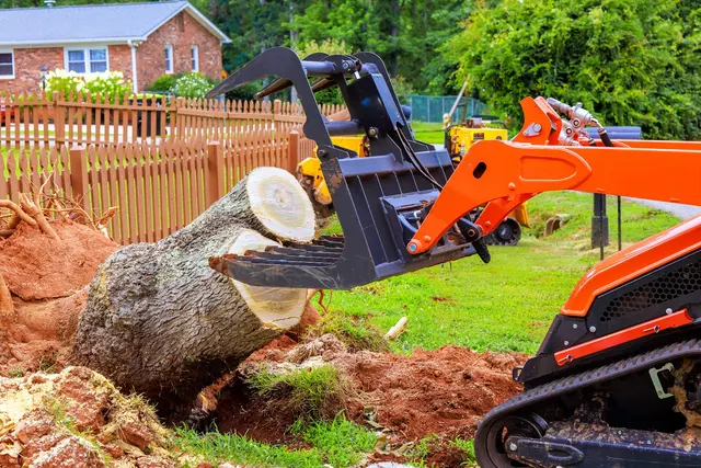 Dujets Tree Experts Inc. — photo from the business 12
