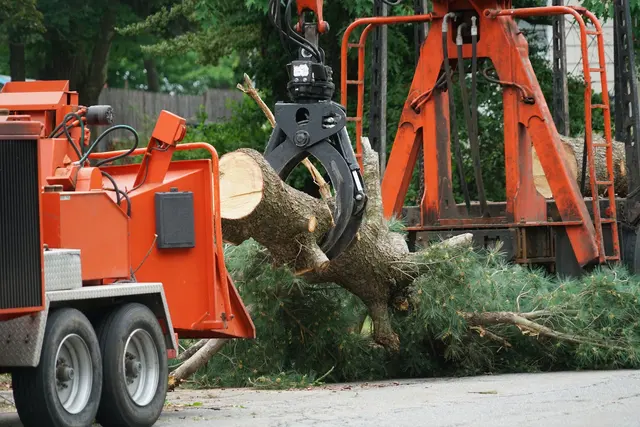 Dujets Tree Experts Inc. — photo from the business 10