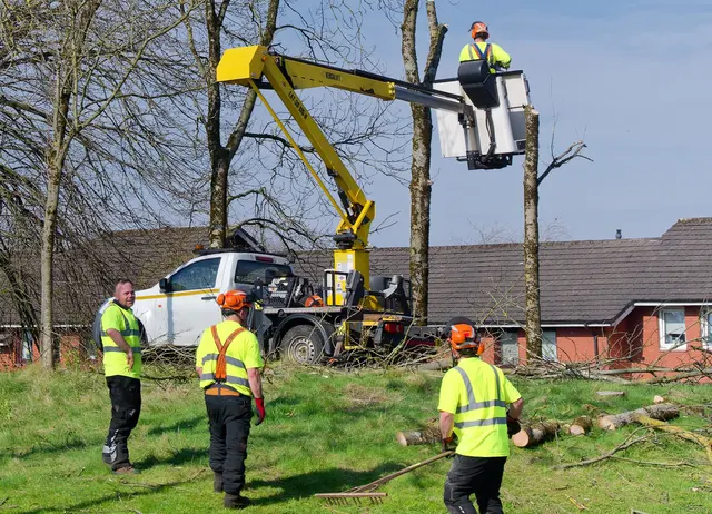 Dujets Tree Experts Inc. — photo from the business 5