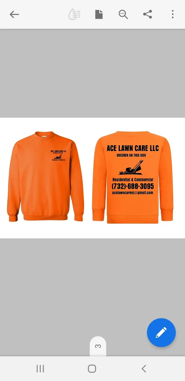 Ace Lawn Care LLC — photo from the business 8