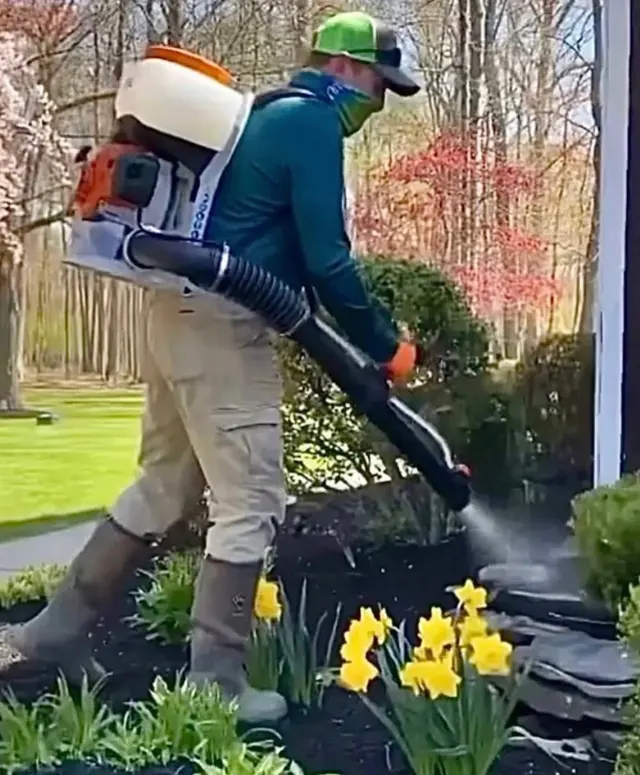 Treeco Solutions - Expert Arborist — photo from the business 12