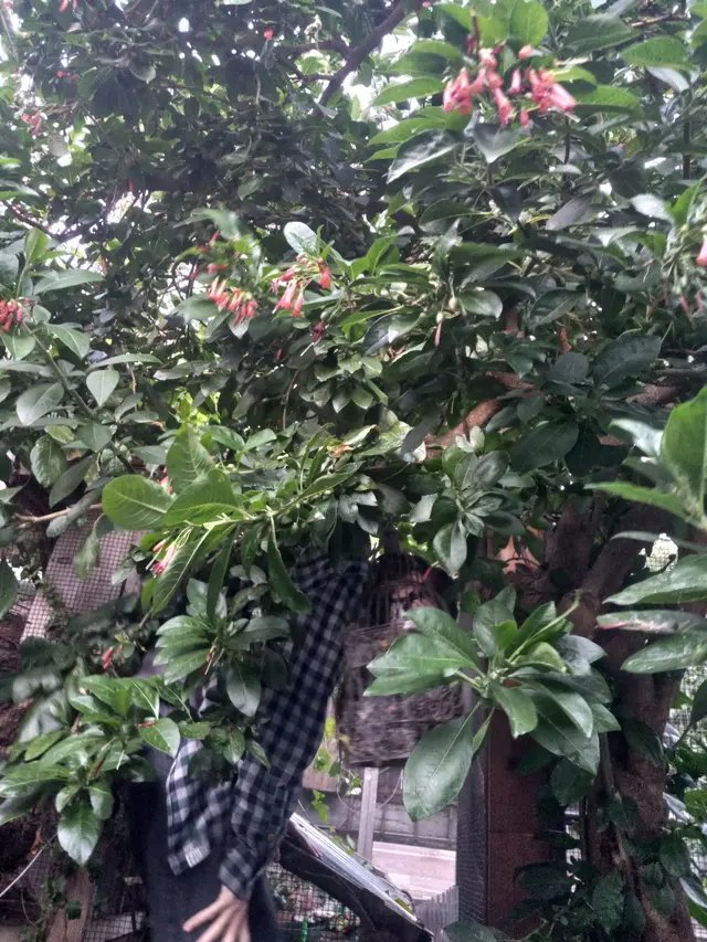 Yggdrasil Urban Wildlife Rescue — customer photo 10