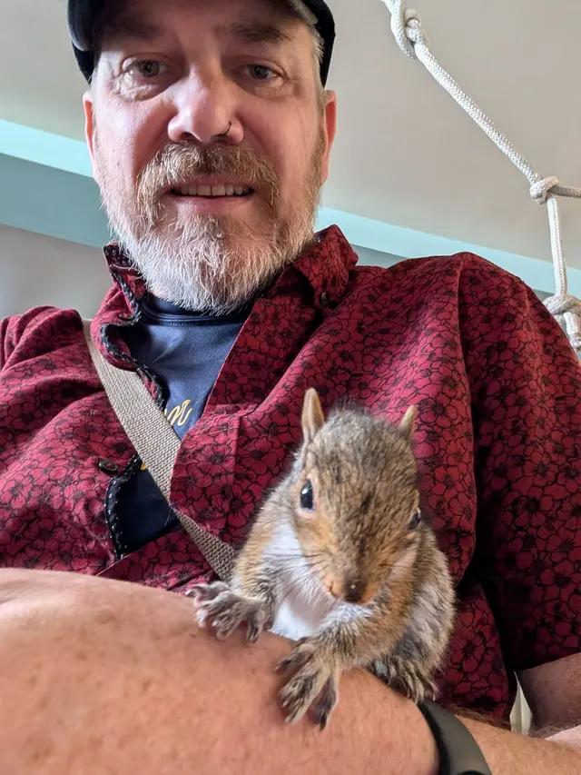 Customer photo of work by Yggdrasil Urban Wildlife Rescue, from Richard Harty, J. Jr's review