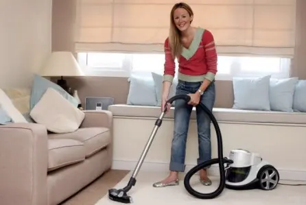 Los Angeles Maid Service & House Cleaners — photo from the business 3